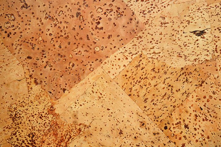 Fachgerechte Asbestentsorgung. Foto: Ecology/fotolia.com